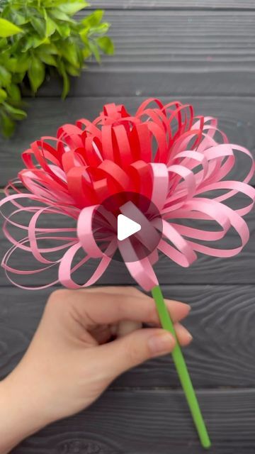 someone is holding a red flower with pink paper in their hand and the video below it shows how to make an origami flower