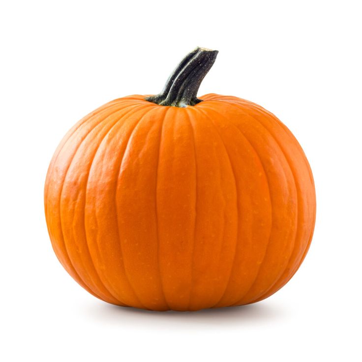 an orange pumpkin on a white background with clippings to the top and bottom