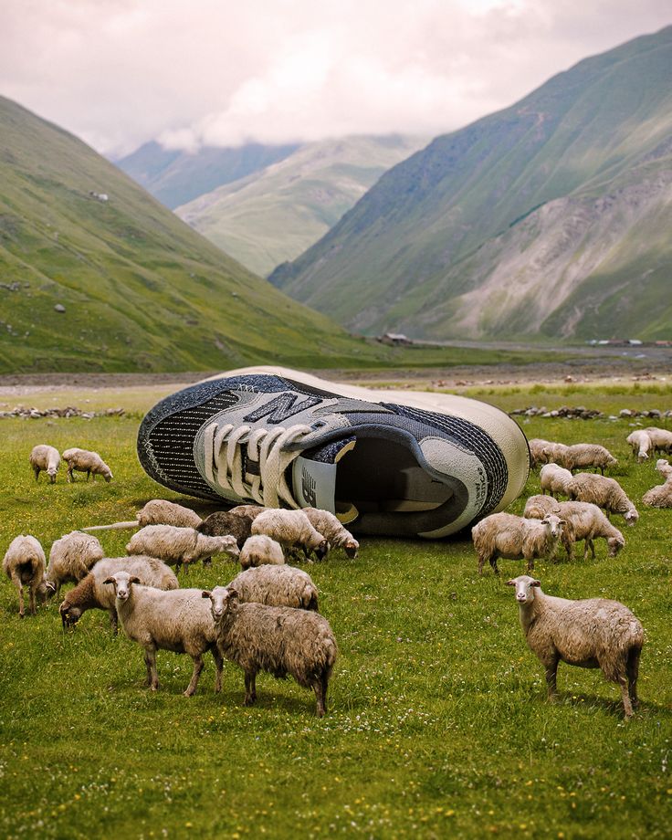 a herd of sheep grazing on top of a lush green field next to a soccer ball