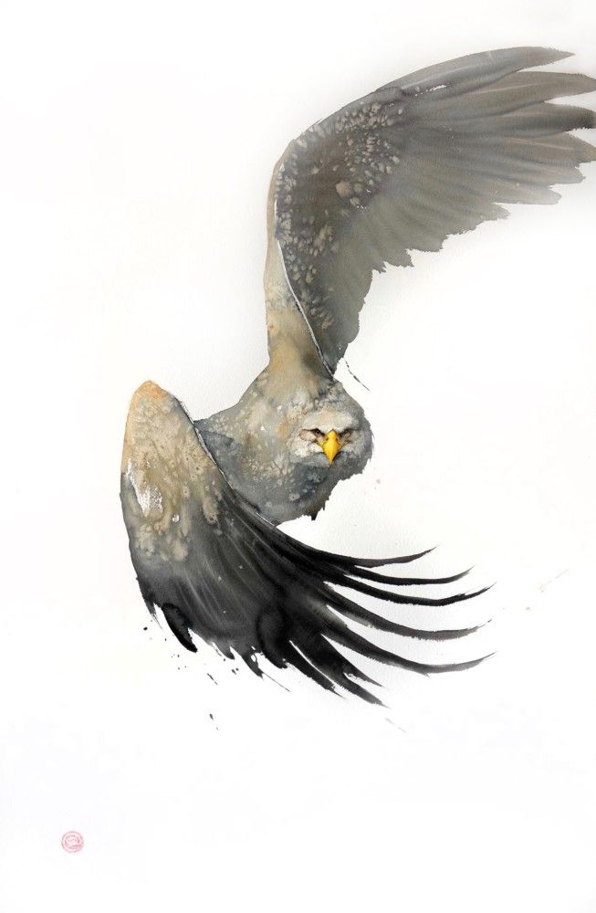 an owl flying through the air with its wings spread