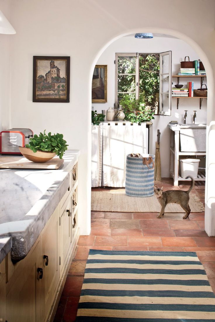 a cat walking through a kitchen with an arched doorway