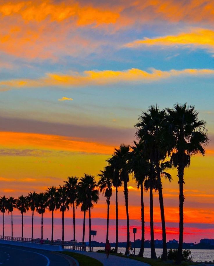 palm trees line the road as the sun sets over the ocean in this colorful sunset