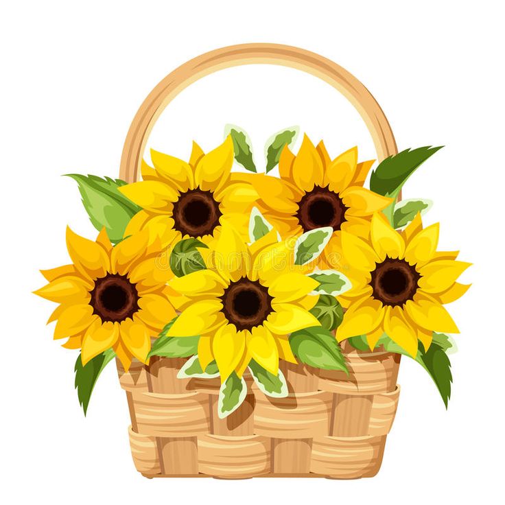 a basket filled with yellow sunflowers on top of a white background and green leaves