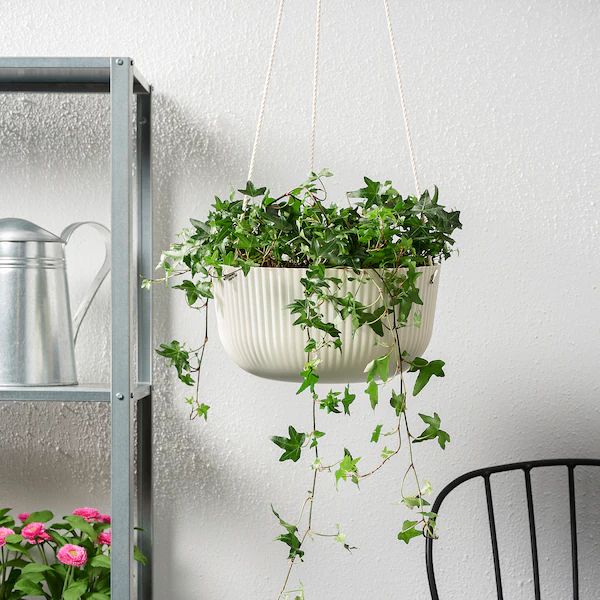 a potted plant hanging from a metal shelf next to a chair and watering can