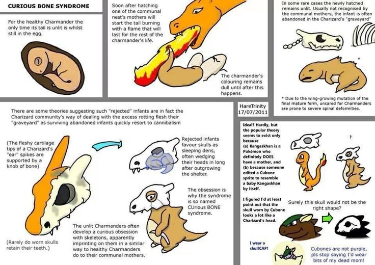 an image of some type of cartoon animal character creation guide for the nintendo wii game