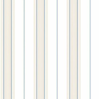 a white and blue striped wallpaper with vertical lines on the opposite side of it