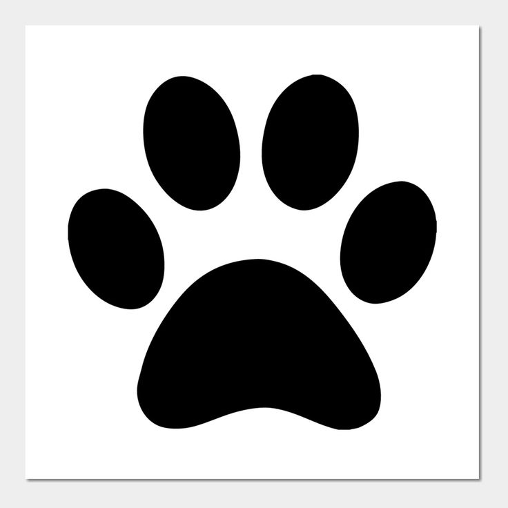 an animal's paw is shown in the shape of a dog's paw