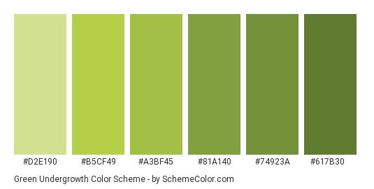 the color chart for green undergrowth