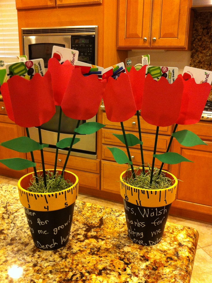 three potted flowers are sitting on a kitchen counter with papers taped to the top