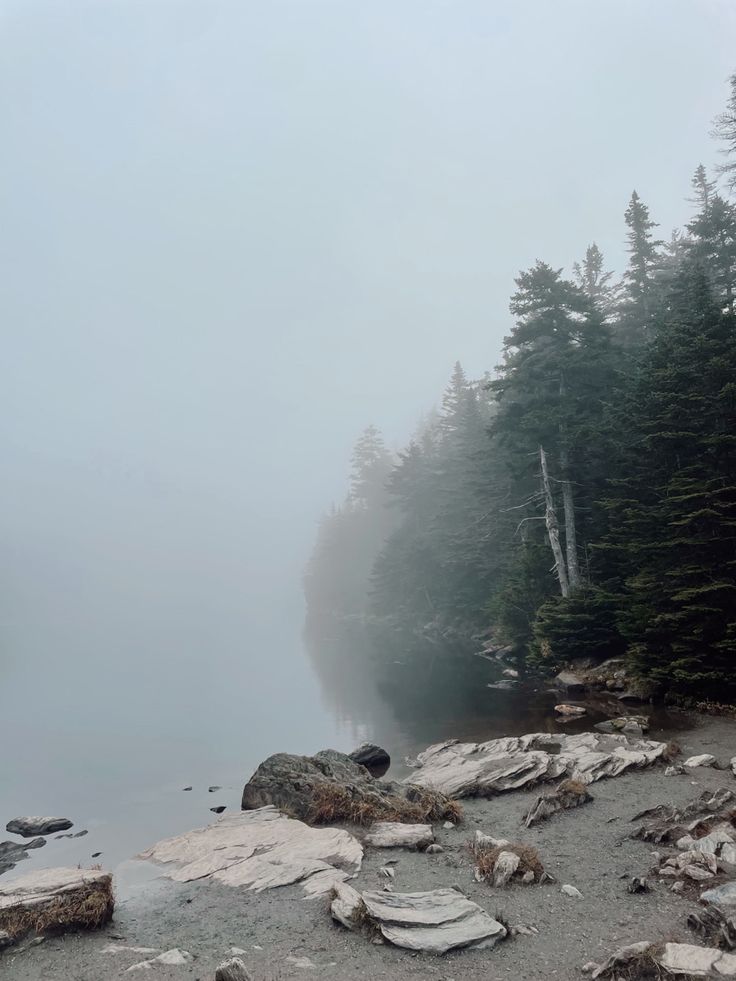 a foggy lake with rocks and trees in the foreground