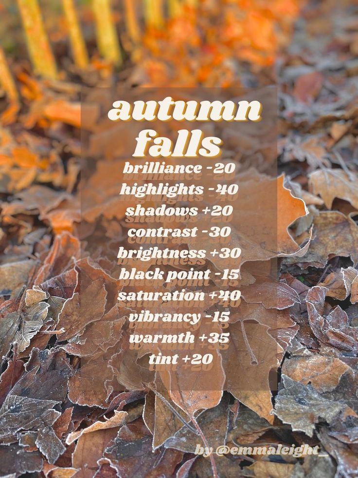 autumn falls sign on the ground with leaves