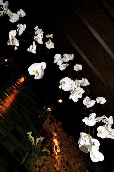 white orchids are floating in the air at night