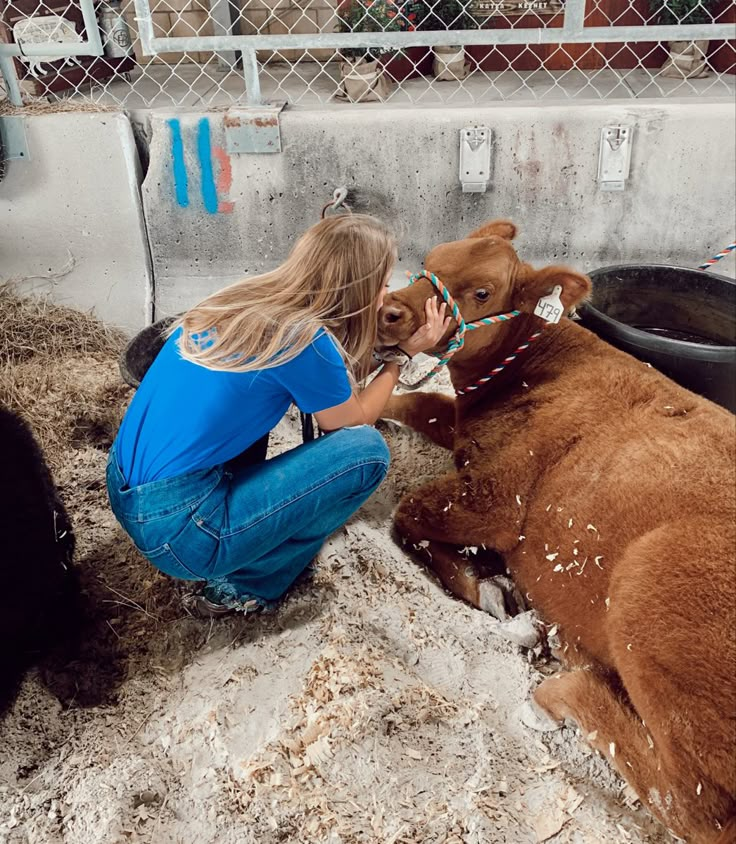 a woman in blue shirt petting a brown cow