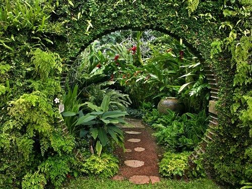 a garden filled with lots of different types of plants and greenery on the walls