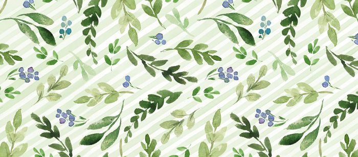 watercolor painting of green leaves and blue berries on a white striped background with diagonal stripes