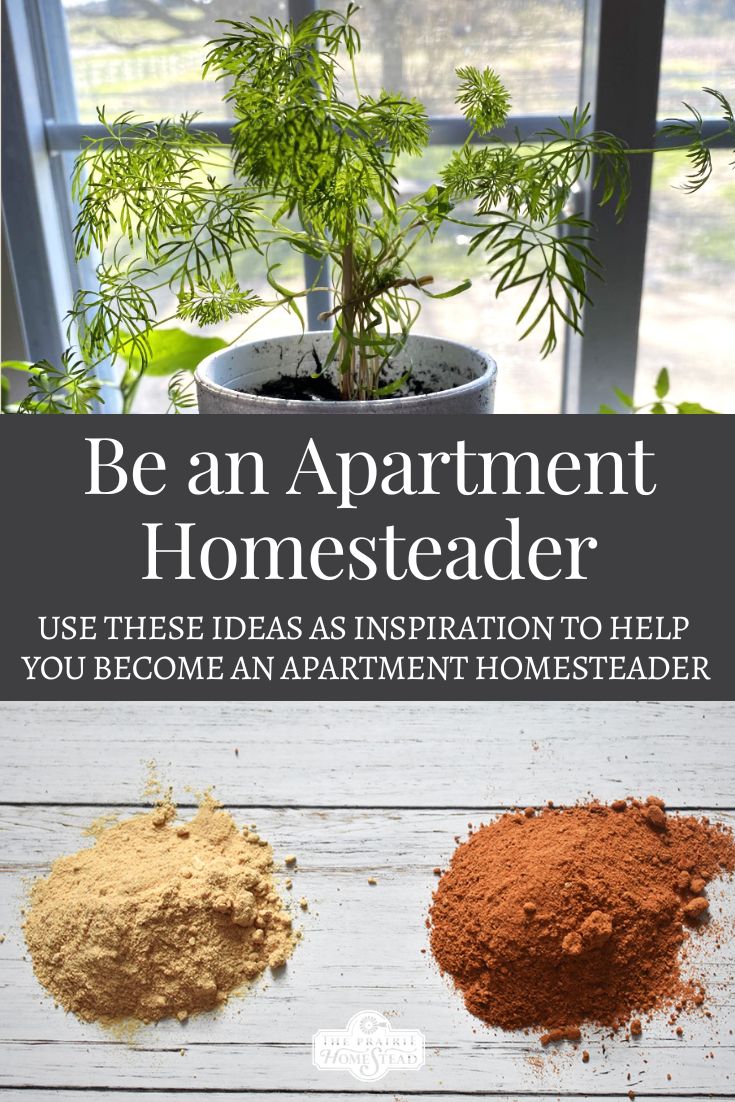 three different types of herbs in front of a window with the words be an apartment homesteader