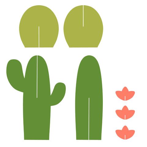 a cactus and flowers are shown on a white background