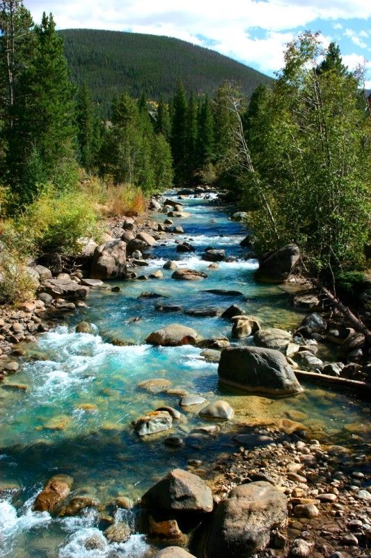 a river running through a forest filled with lots of rocks and water surrounded by trees