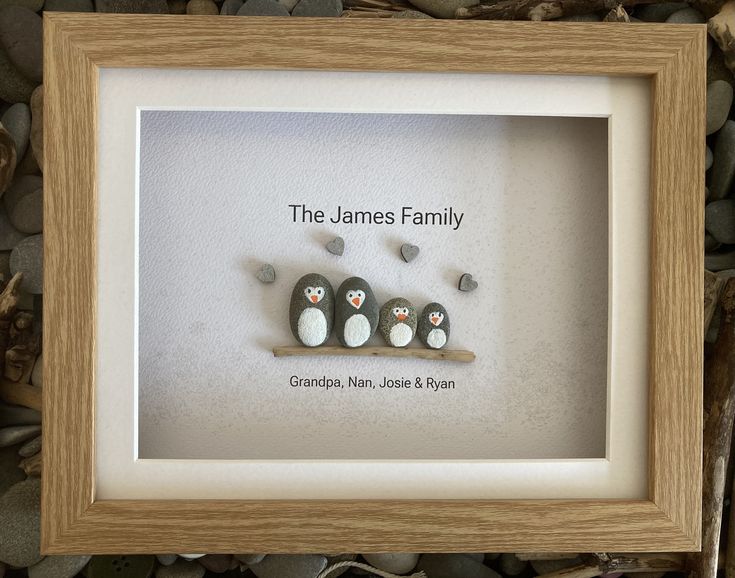 three penguins sitting on top of a rock in a wooden frame with the words, the james family