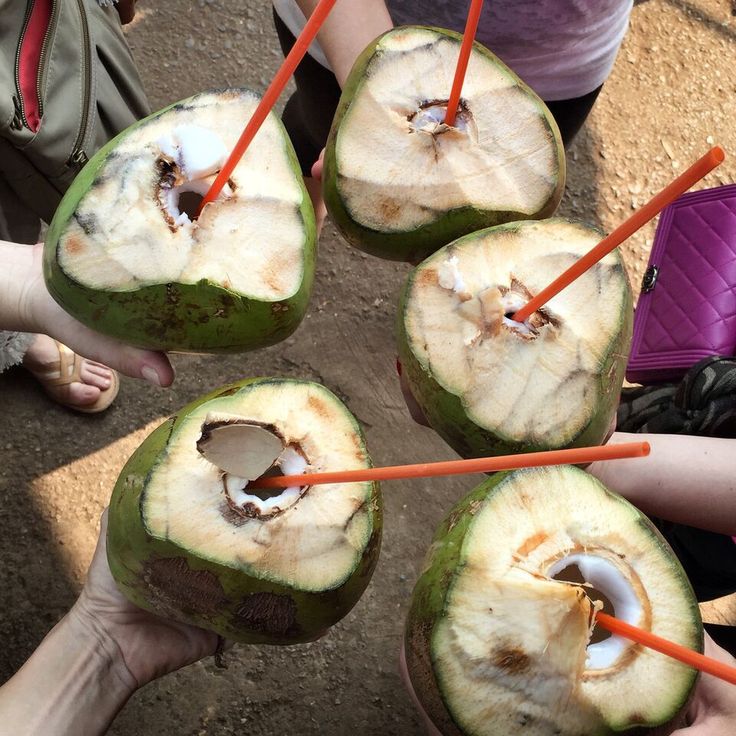 four people holding up coconuts with straws in them