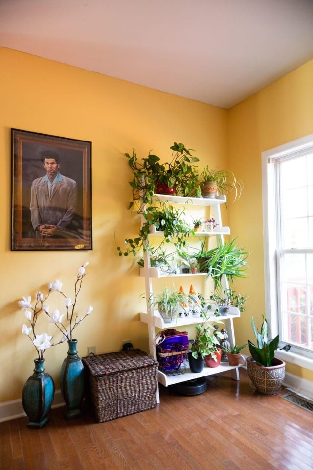 a room with yellow walls and plants on the shelves in front of a large window