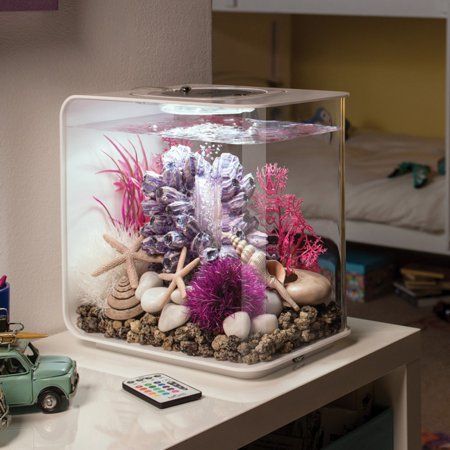 an aquarium with rocks, shells and seaweed in it on a table next to a toy car