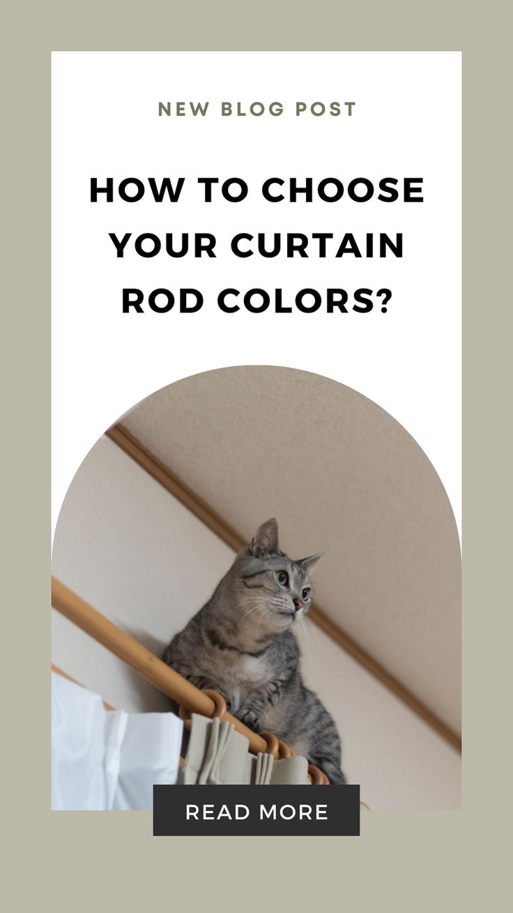 a cat sitting on top of a book shelf with the words how to choose your curtain rod colors?