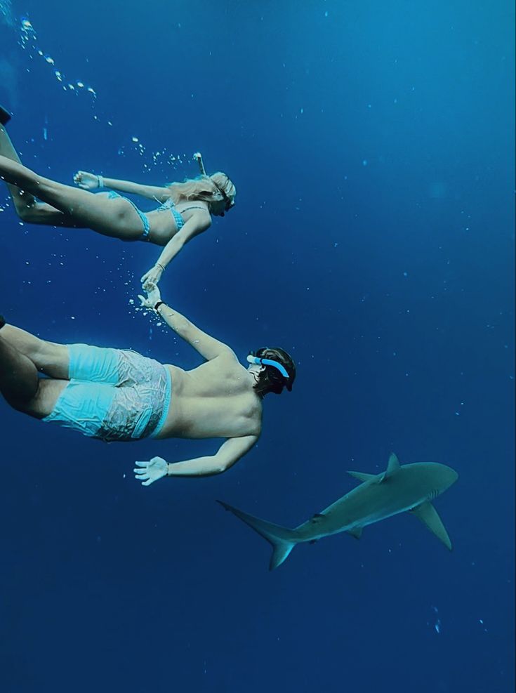 two women in swimsuits are swimming with sharks