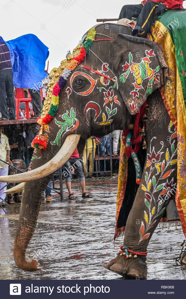 an elephant decorated with flowers and decorations in the rain