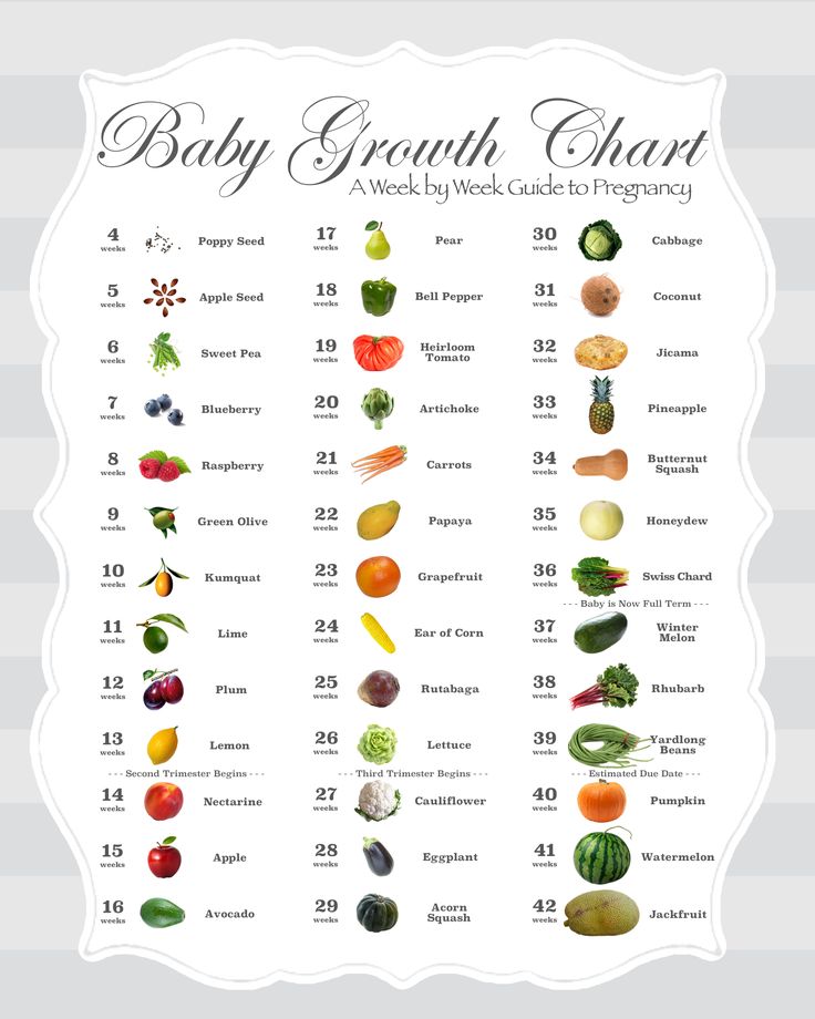 the baby growth chart shows how many fruits and vegetables are grown in each month,