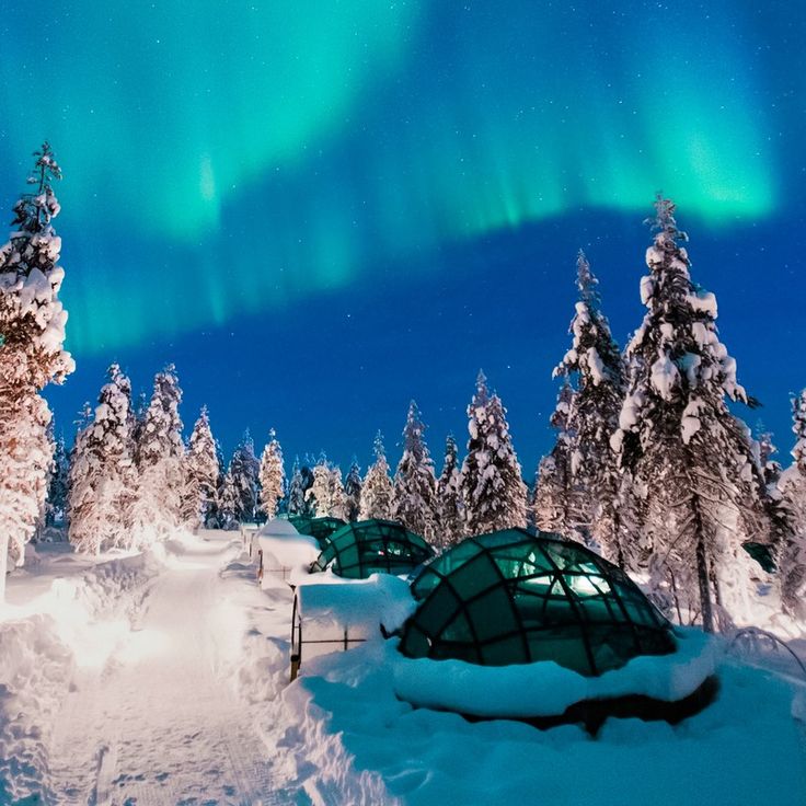 an igloose with the aurora lights in the background and snow covered trees