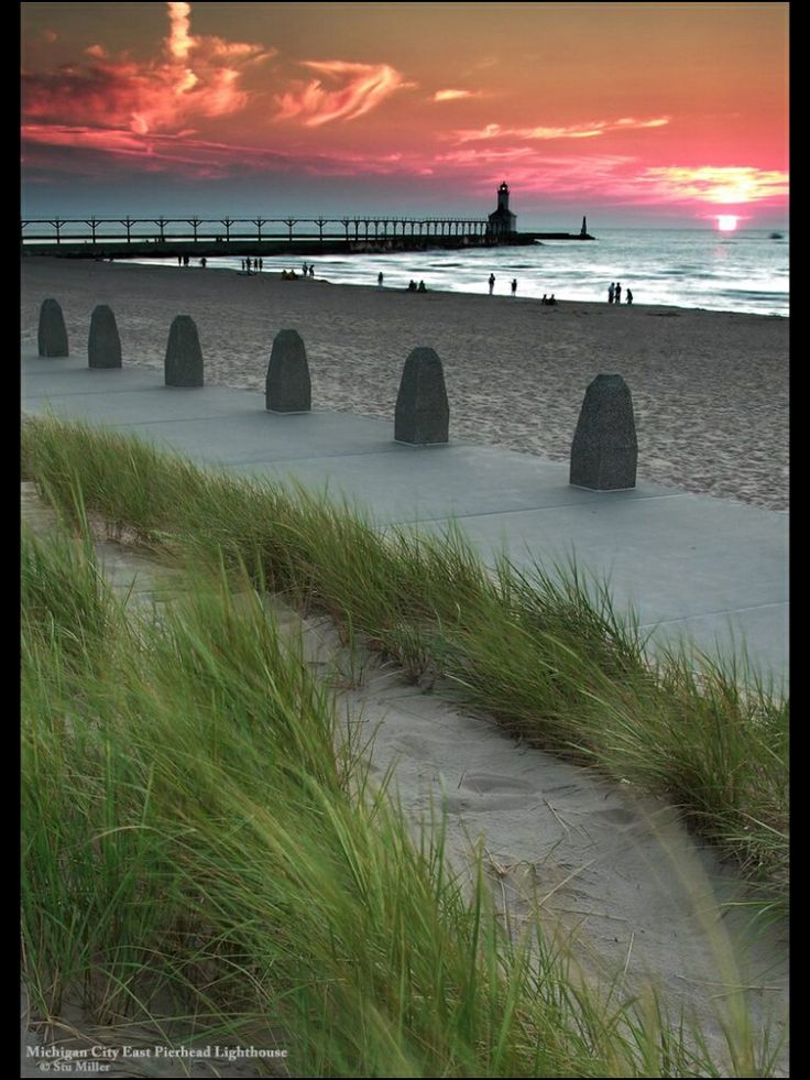 the sun is setting at the beach with grass growing in front of it