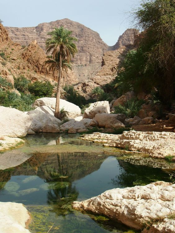 there is a small pool in the middle of some rocks and palm trees near by