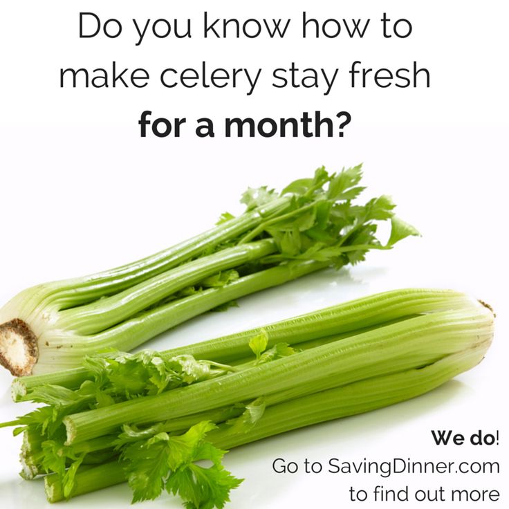 celery stalks on a white background