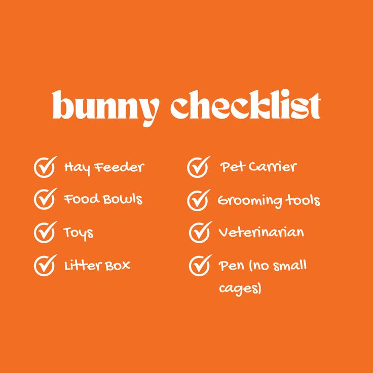 an orange background with the words bunny checklist