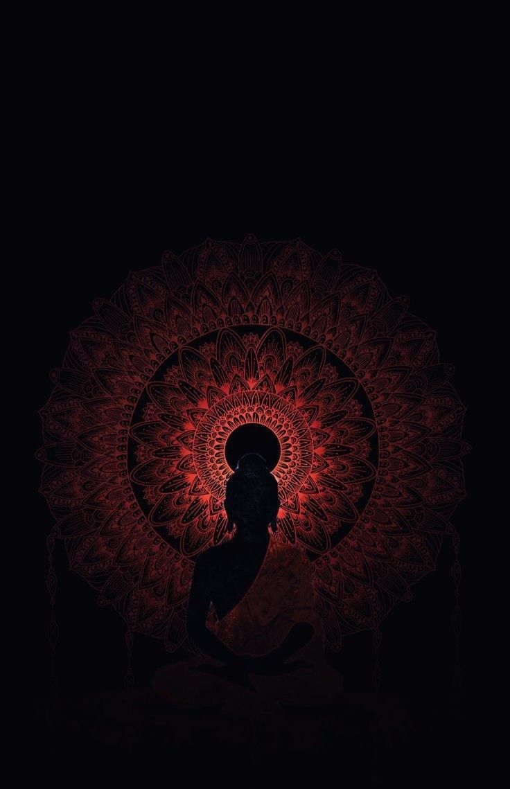 the silhouette of a person in front of a red flower on a black background,