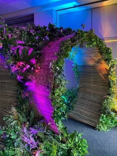 an office cubicle decorated with purple and green plants