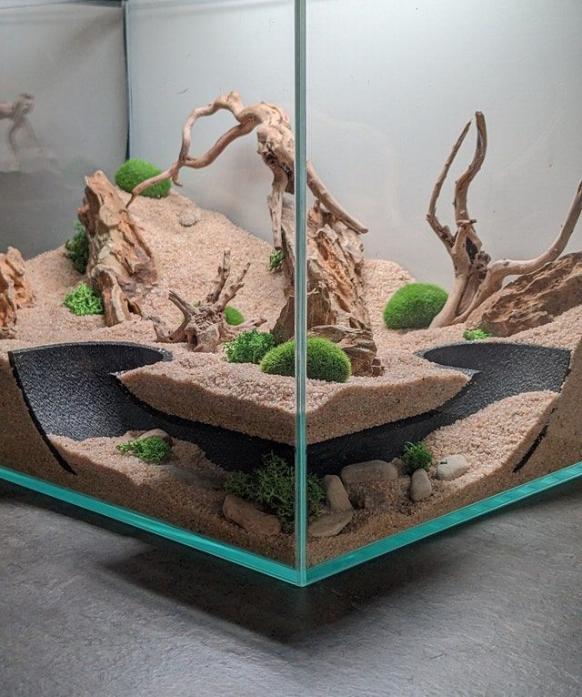 an aquarium with rocks and plants in it