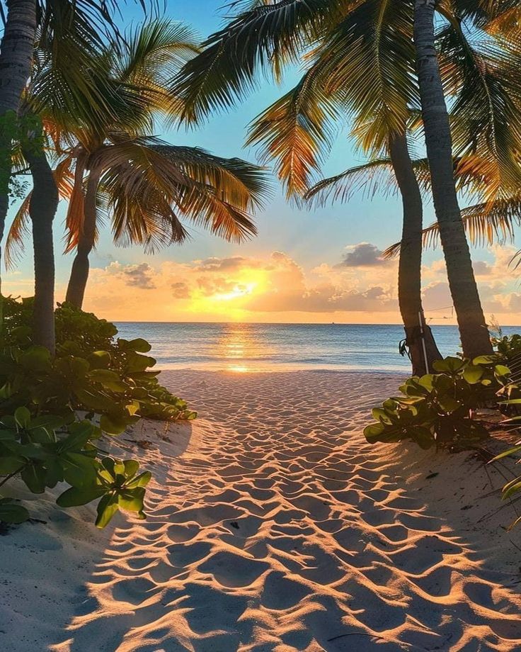 the sun is setting behind two palm trees on the beach with footprints in the sand