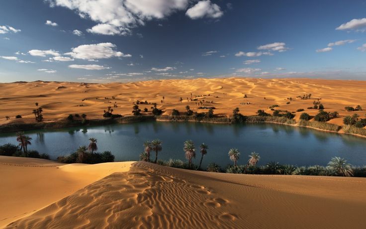 a lake surrounded by sand dunes and palm trees