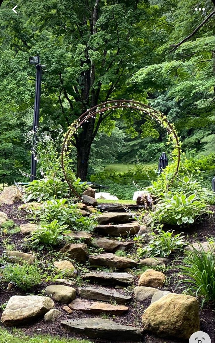 a stone path in the middle of a lush green forest