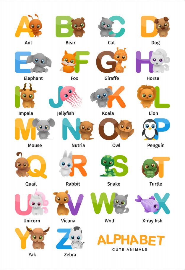 an alphabet poster with animals and letters