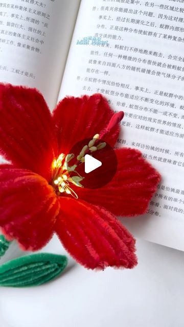 a red flower sitting on top of an open book