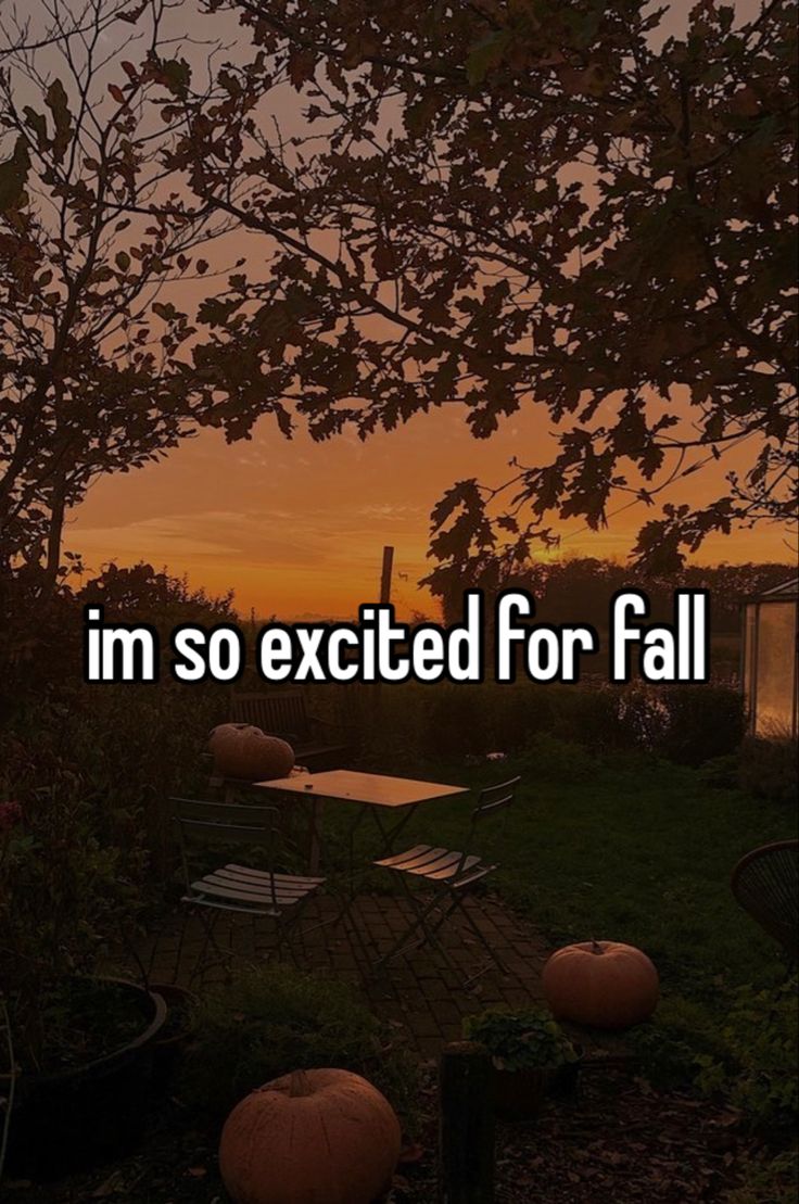 the words i'm so excited for fall are in front of a sunset with pumpkins