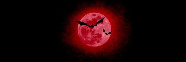 two bats flying in front of a full moon with red light on the dark background