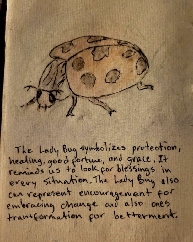 a piece of paper with a drawing of a lady bug on it's side