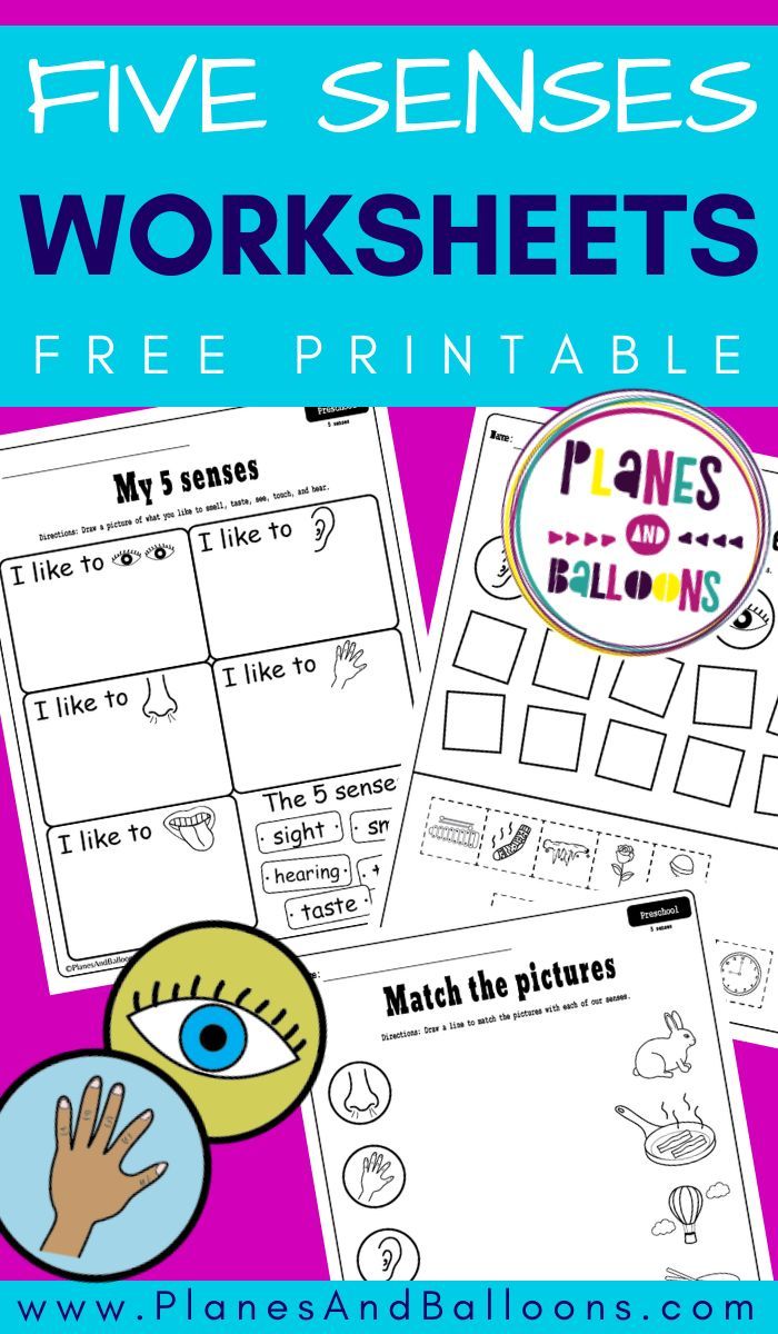 five senses worksheets with the text, free printables and an image of a