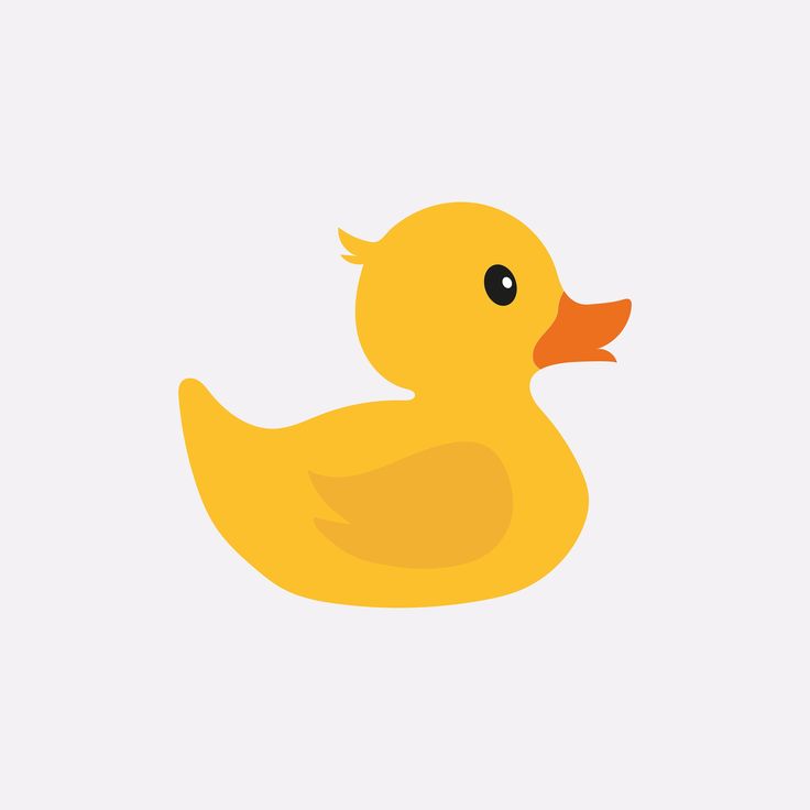 a yellow rubber ducky on a white background