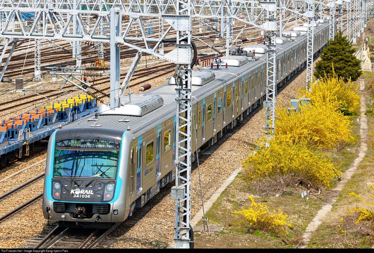 a train is traveling down the tracks near many trees and yellow flowers in front of it