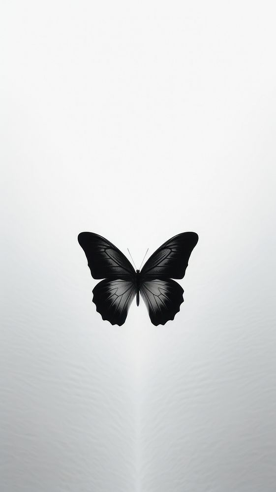 a black and white butterfly flying in the air